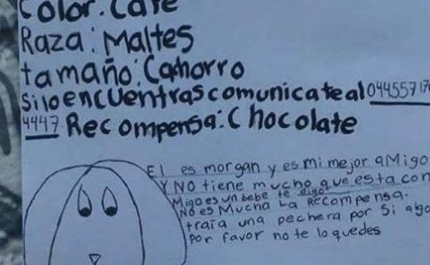 Una niña recupera a su perro perdido gracias a este cartel