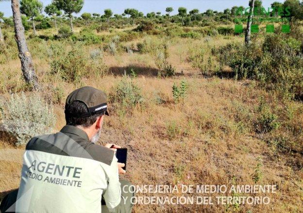 Un agente de Medio Ambiente haciendo trabajo de campo en Andalucía.