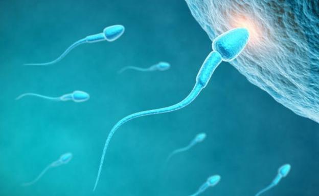 Un donante de esperma se convierte en padre de 102 hijos