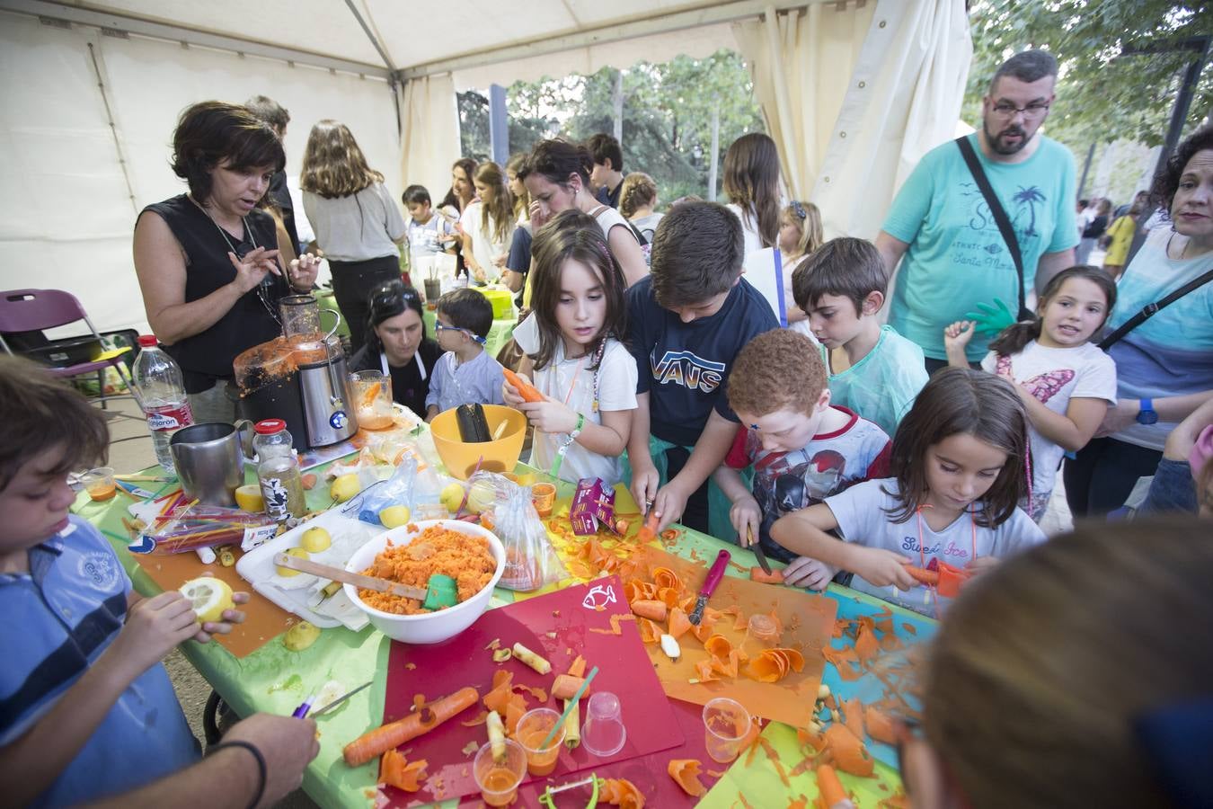 Miles de granadinos participaron este viernes en los actos con motivo de la Noche de los Investigadores