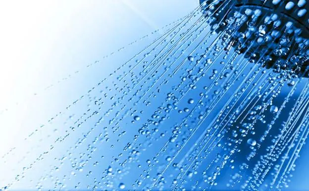 once La base de datos terminado Gasta más agua la bañera o la ducha? | Ideal