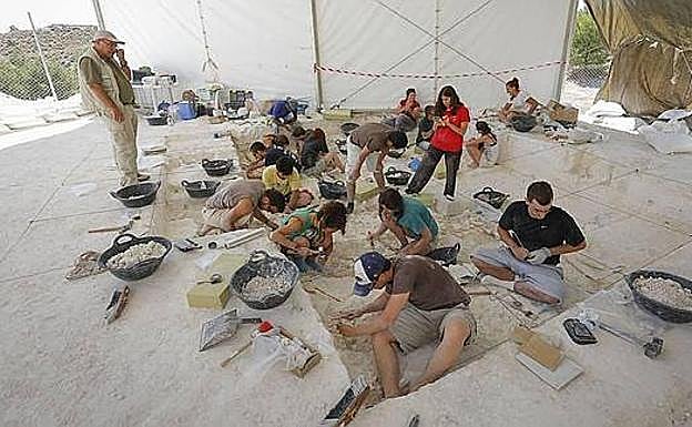 El Campus de la UNIA en Baeza celebra unas jornadas sobre los yacimientos arqueopaleontológicos de Orce