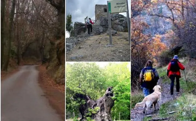 Las 5 rutas con más encanto para disfrutar del otoño en Granada