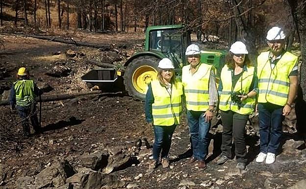 La Junta realiza obras de emergencia en la zona afectada por el incendio de Segura de la Sierra
