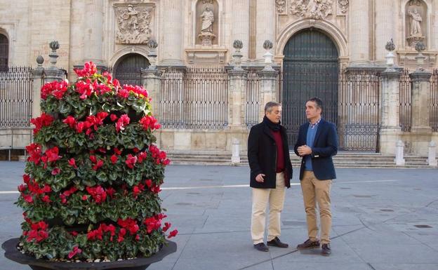 El Ayuntamiento inicia la campaña floral de Navidad con 4.000 plantas y pide civismo