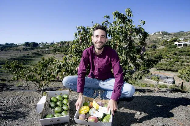 Borja Piedra muestra, en una finca de Salobreña, las cajas de mangos y aguacates que manda por toda España. 