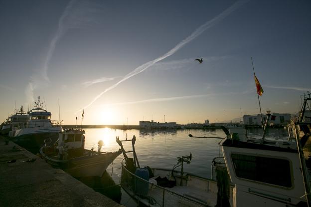 El Aula del Mar estará dentro del Puerto y servirá también para asesorar a los pescadores.