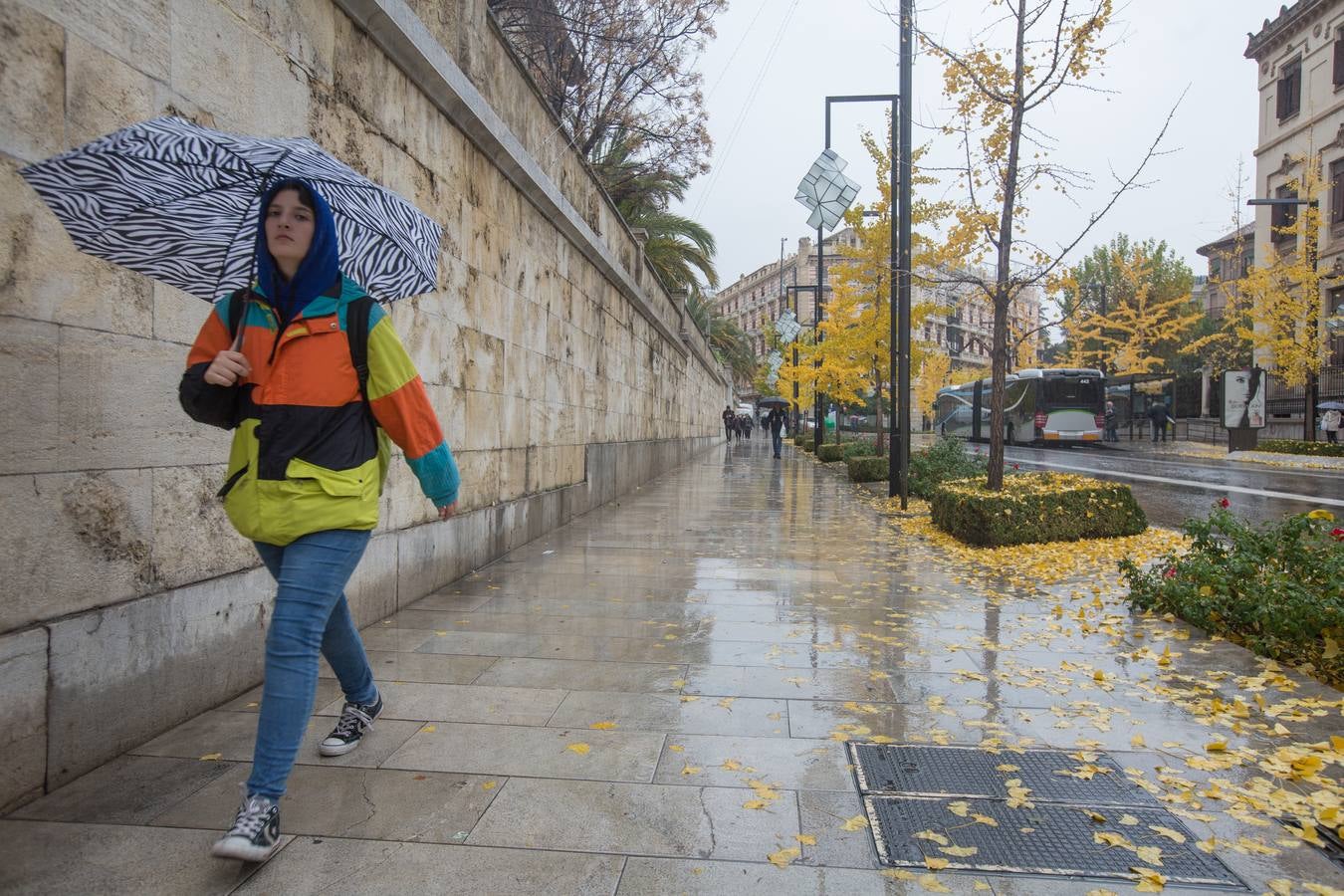 Atendidas unas 20 emergencias por lluvia en la provincia, principalmente en carreteras