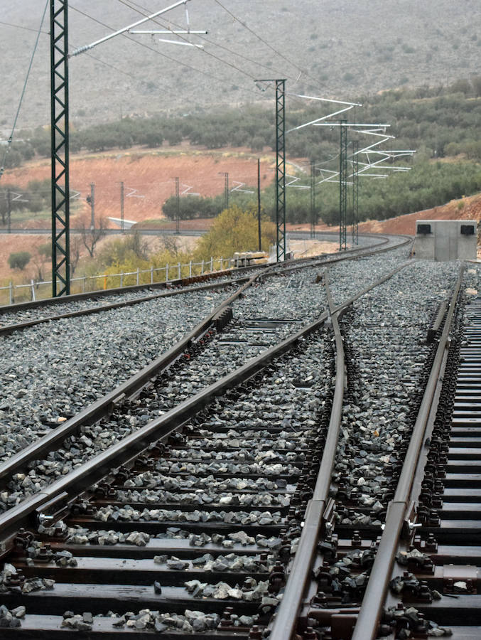 De la Serna señaló este miércoles en el Congreso que «dentro de unos meses» podrán volver los trenes, sin precisar ningún plazo