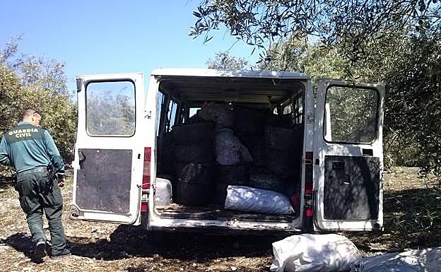 'Cazado' en Torredonjimeno robando 2.500 kilos de aceitunas