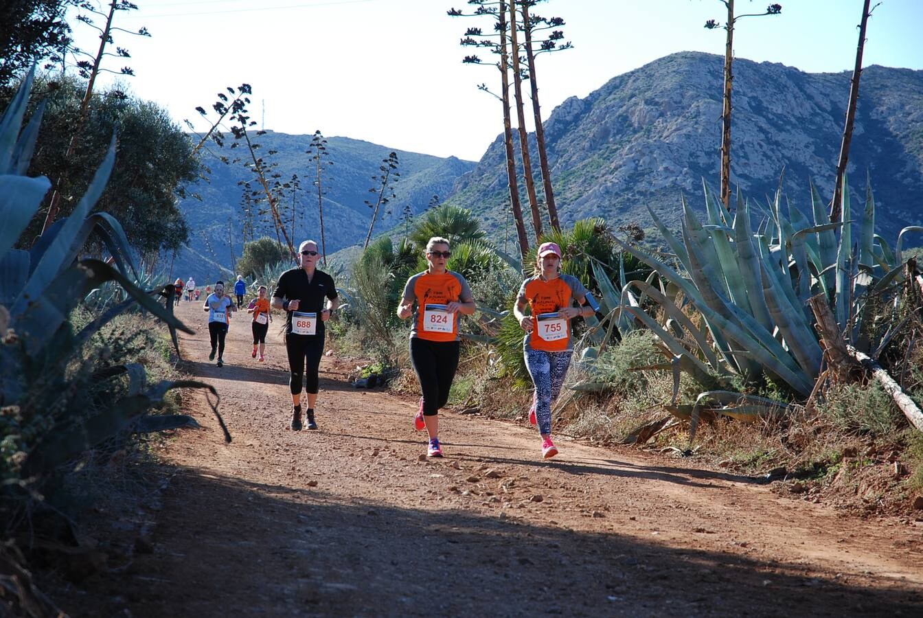 Si participaste en la carrera, encuéntrate en la galería