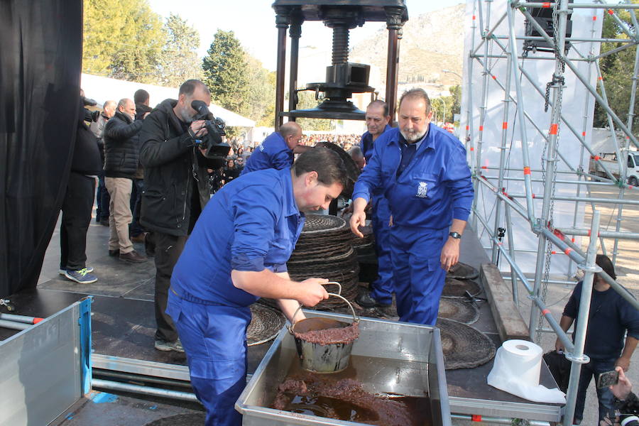 Miles de personas se dan cita en Martos en una Fiesta de la Aceituna 'nueva', con más de ocho mil hoyos de aceite repartidos, sorpresas y apuntando a ser Fiesta de Interés Turístico Andaluz 