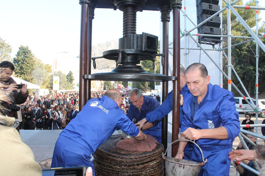 Miles de personas se dan cita en Martos en una Fiesta de la Aceituna 'nueva', con más de ocho mil hoyos de aceite repartidos, sorpresas y apuntando a ser Fiesta de Interés Turístico Andaluz 