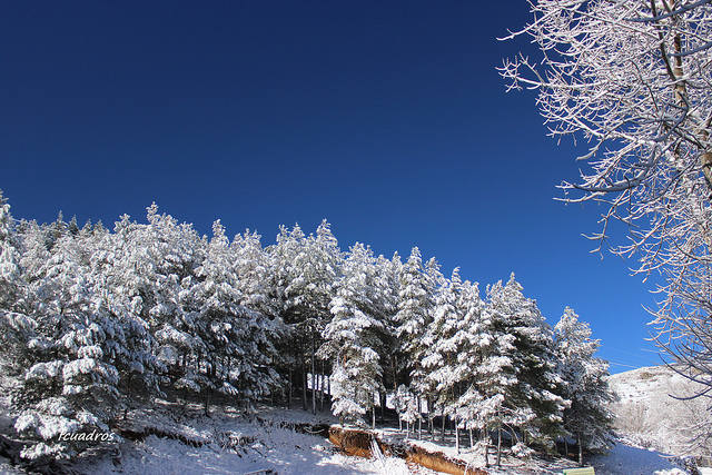 El nacimiento del río Segura y el entorno de Pontones, nevados