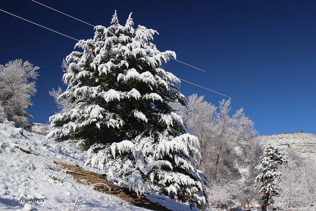 El nacimiento del río Segura y el entorno de Pontones, nevados