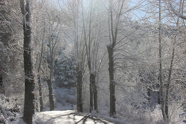 El nacimiento del río Segura y el entorno de Pontones, nevados