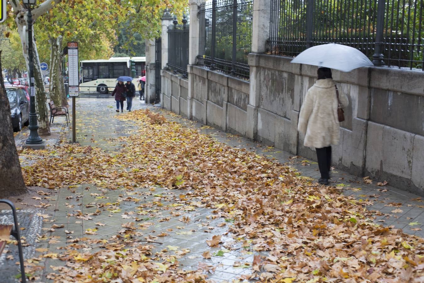 Granada vivió un 11 de diciembre lluvioso