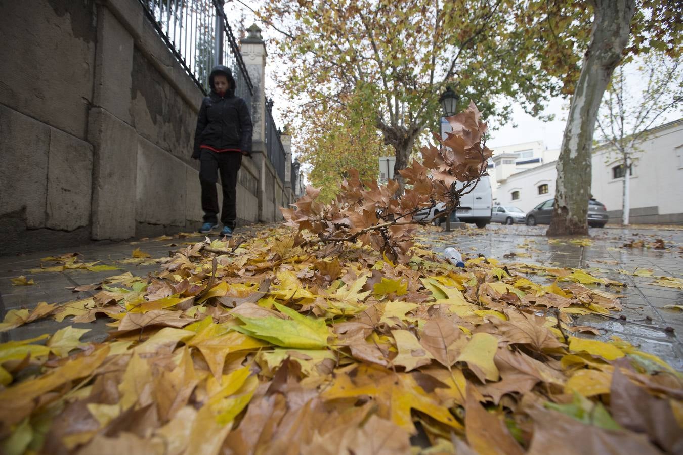Granada vivió un 11 de diciembre lluvioso