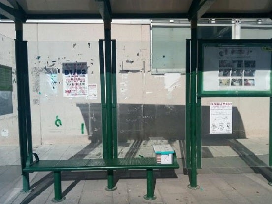 Aparecieron por el suelo con las páginas rotas y desperdigadas