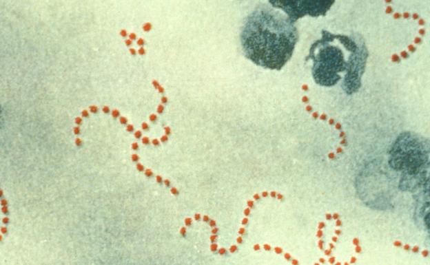 La bacteria carnívora que está provocando numerosas muertes