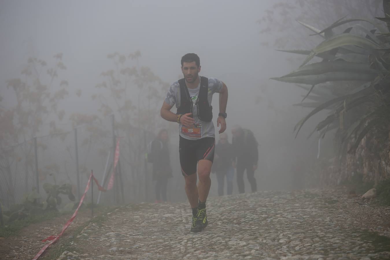 Búscate en el álbum de la última carrera del año