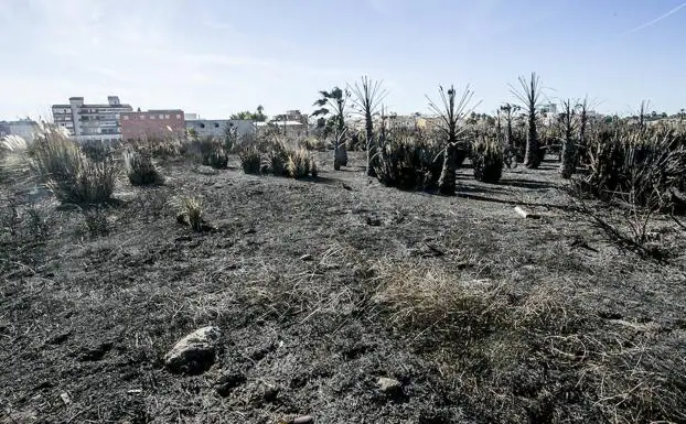 Imagen del descampado de Santa Adela, este martes con el rastro que dejó el incendio.