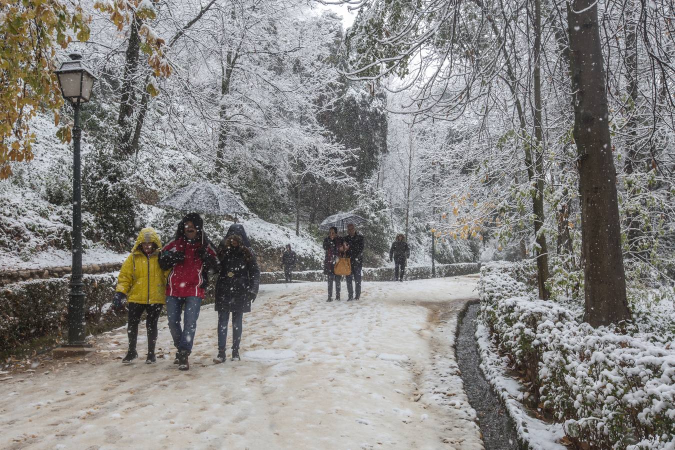 Fueron muchos los que disfrutaron del privilegio de ver el monumento nazarí cubierto de nieve