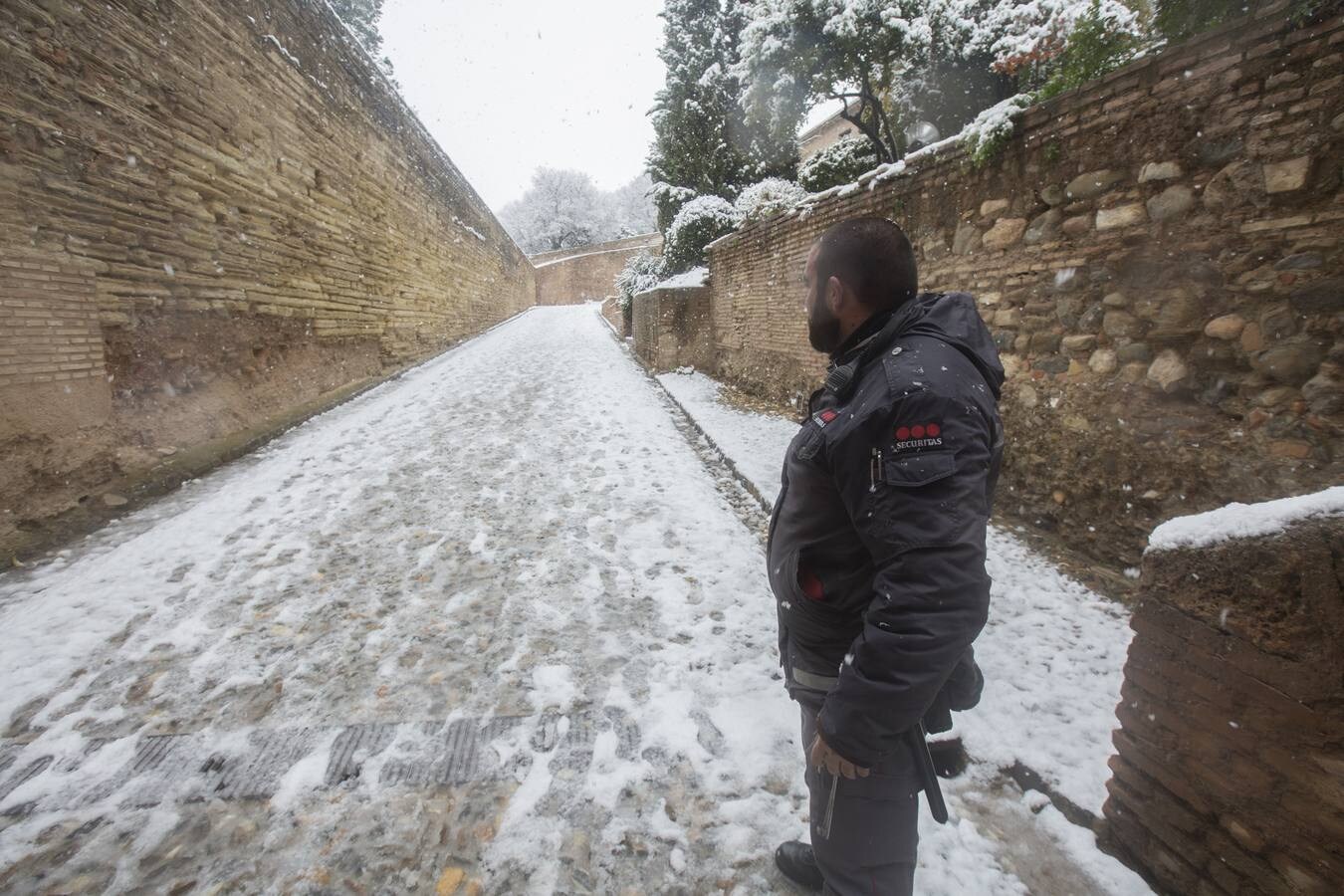 Fueron muchos los que disfrutaron del privilegio de ver el monumento nazarí cubierto de nieve