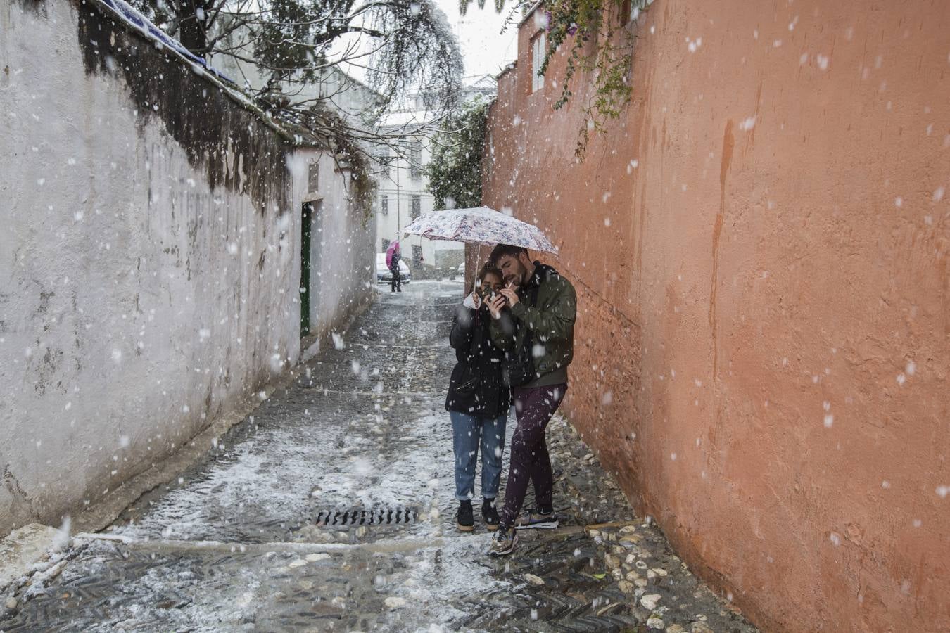Granada lució de blanco el día de Reyes