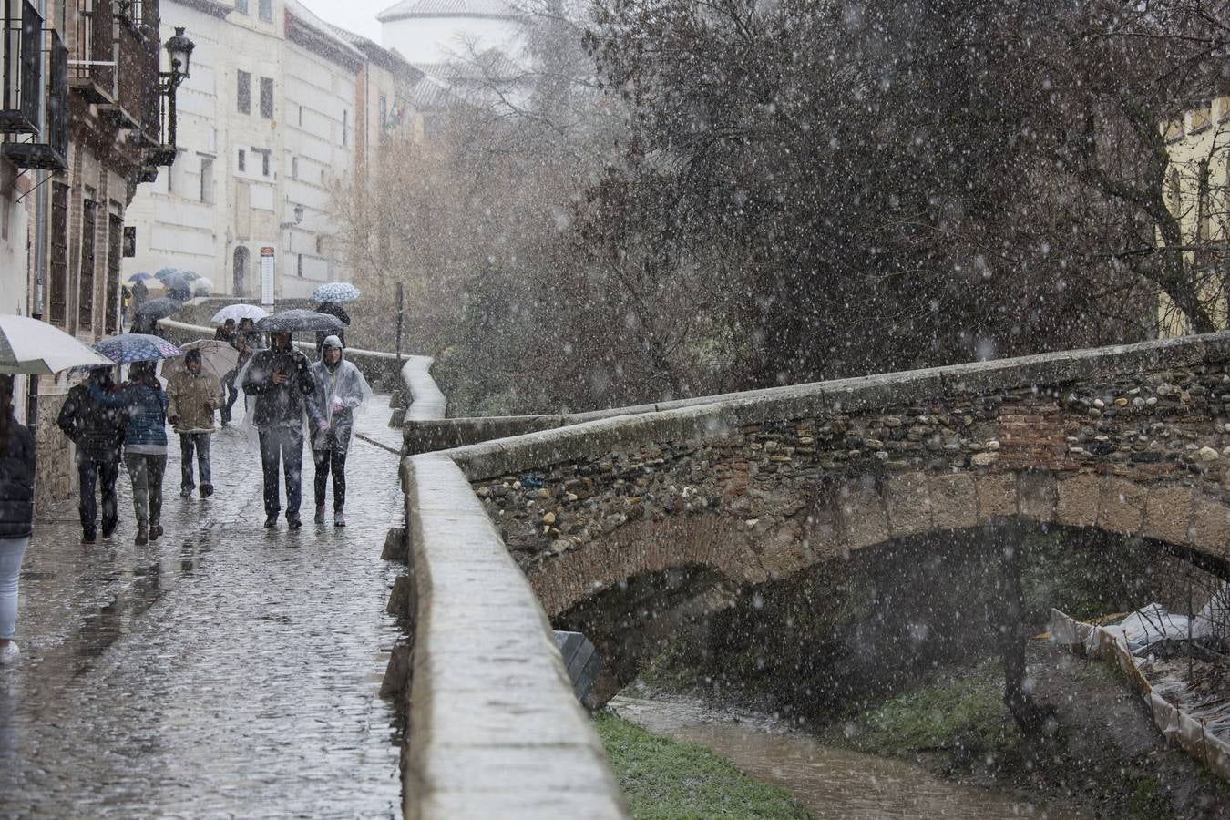 Granada lució de blanco el día de Reyes