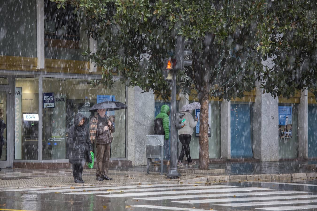 Granada lució de blanco el día de Reyes