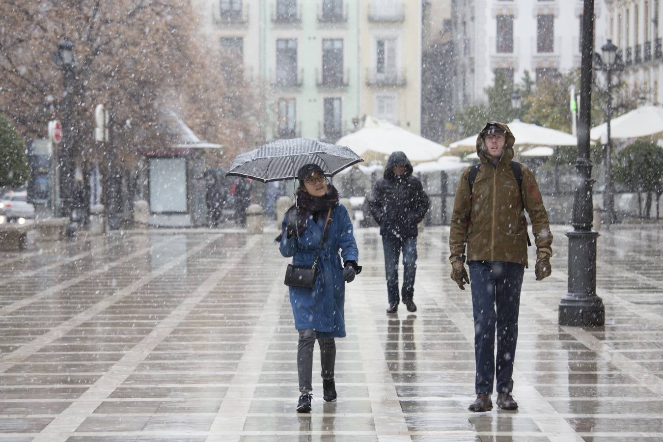 Granada lució de blanco el día de Reyes