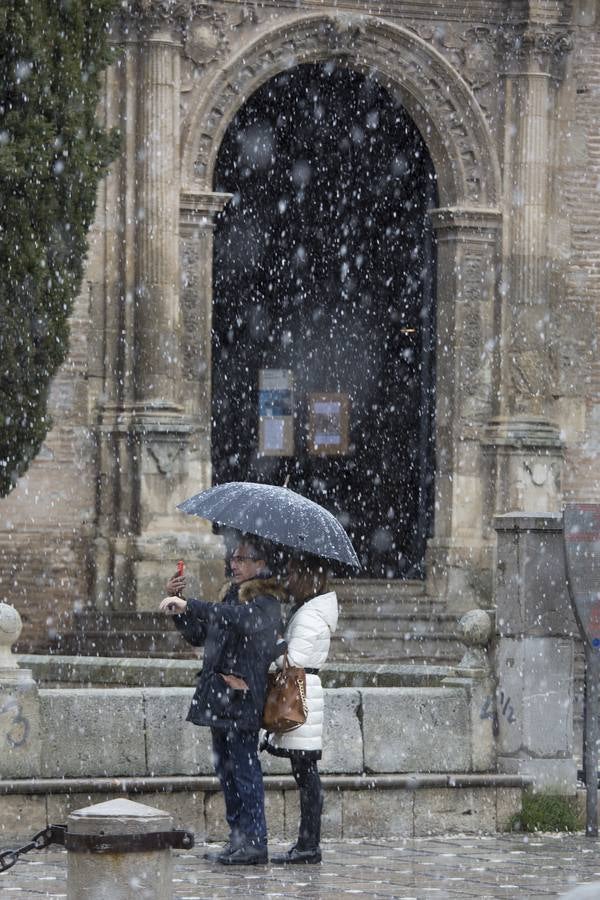 Granada lució de blanco el día de Reyes