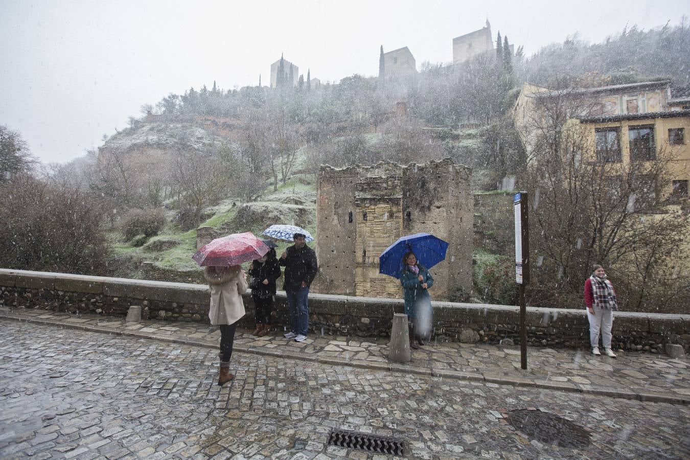 Granada lució de blanco el día de Reyes