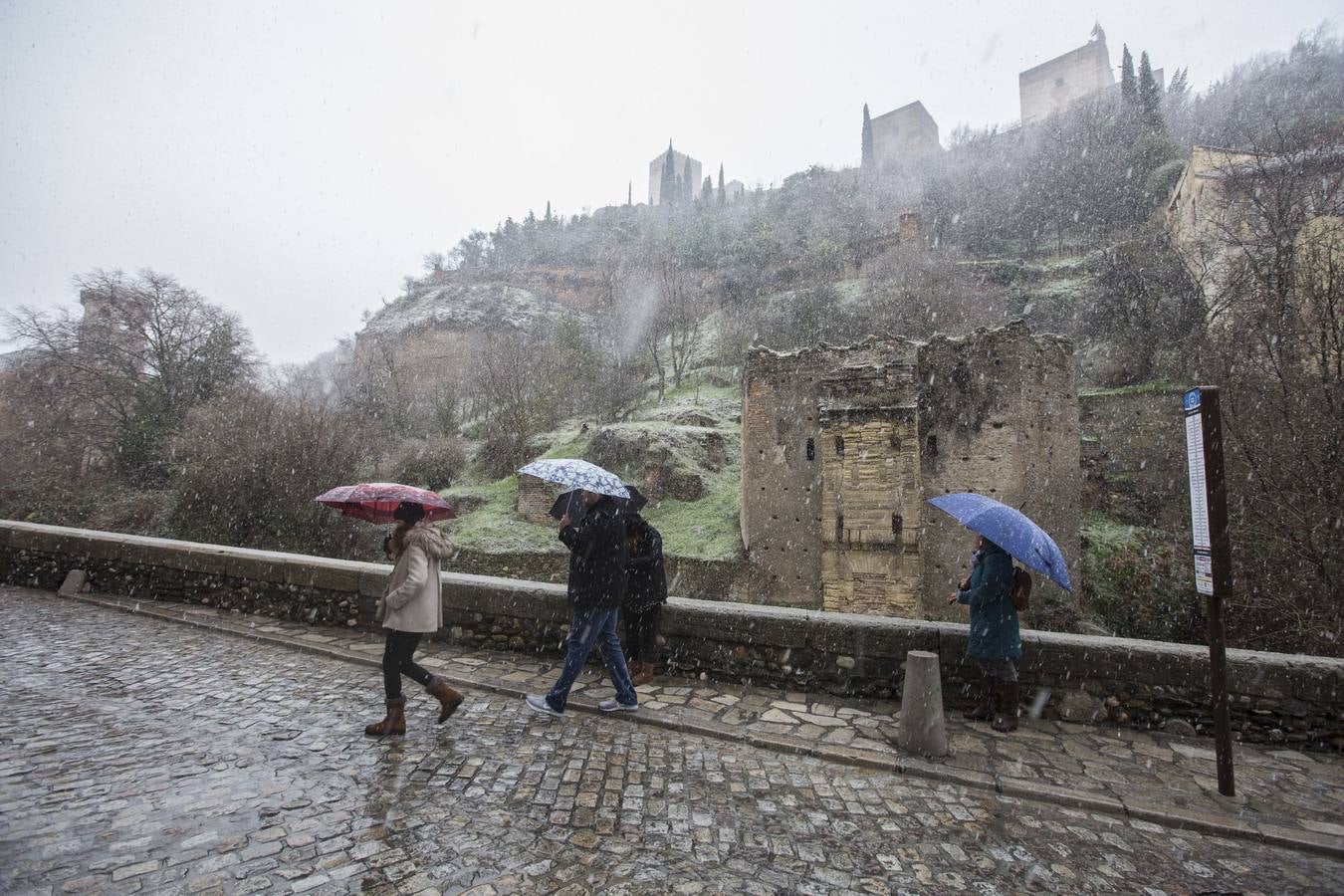 Granada lució de blanco el día de Reyes