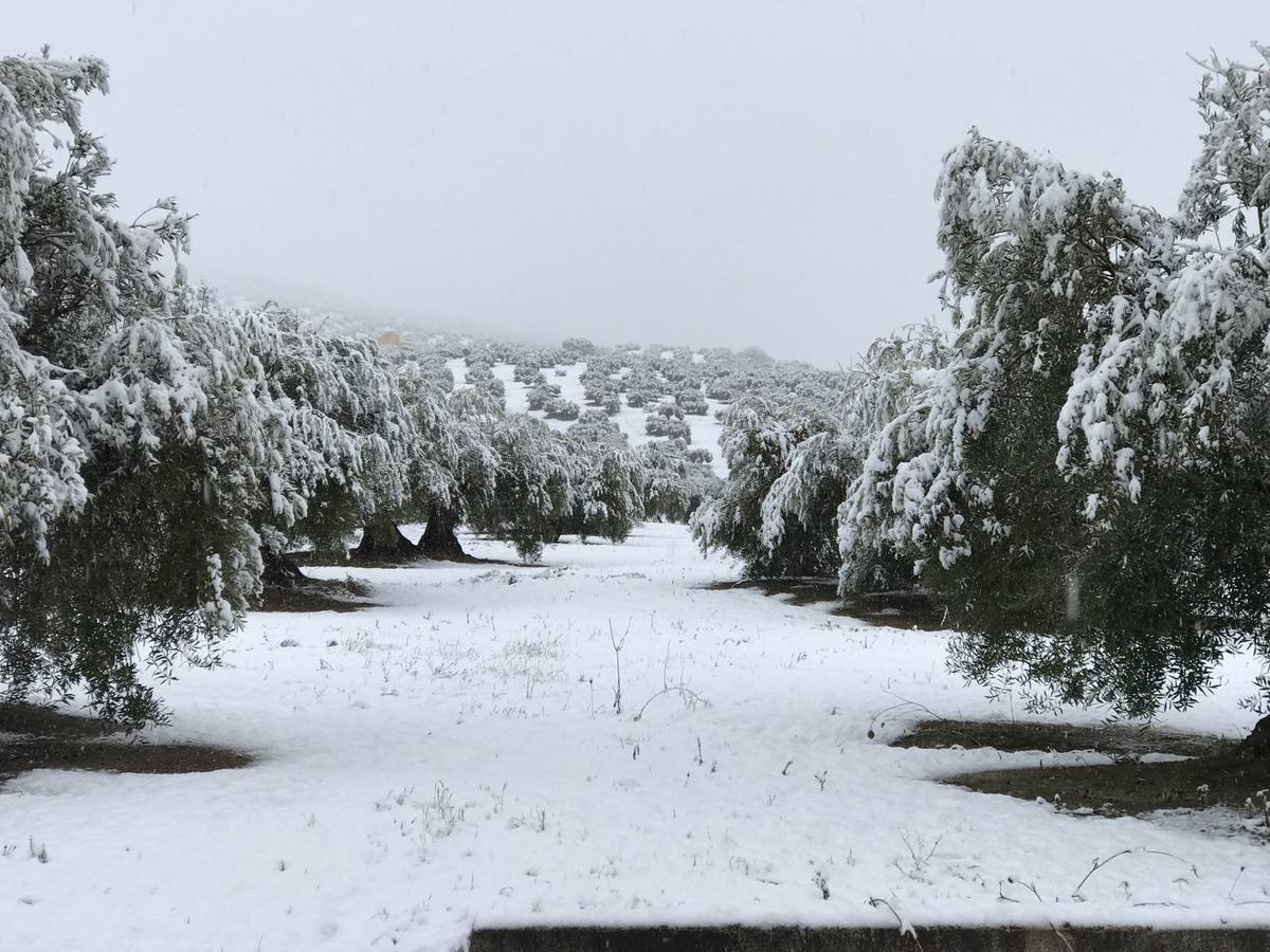 La provincia de Jaén se viste de blanco