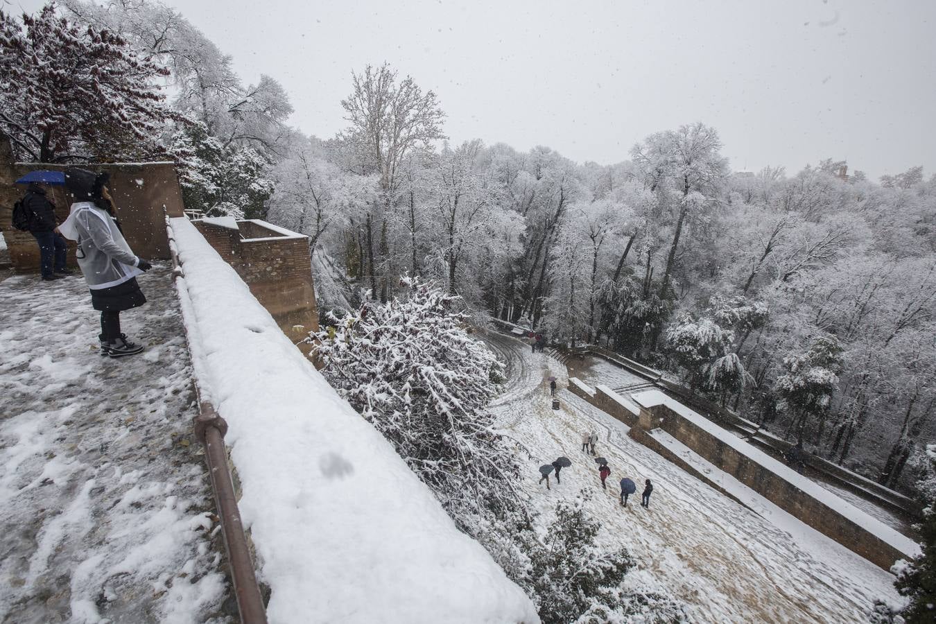 Los Reyes regalaron la estampa más navideña a Granada