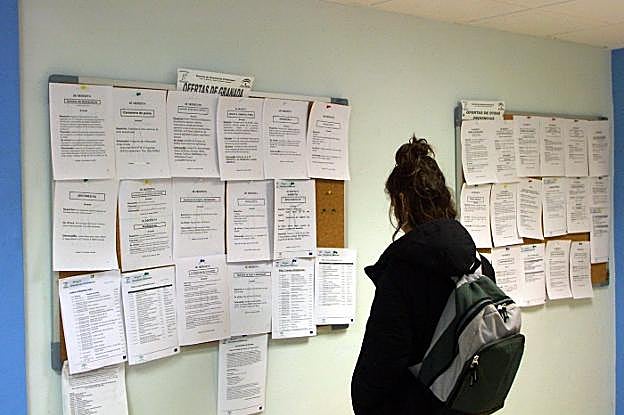 Una persona consulta un tablón con ofertas laborales en una oficina de empleo.