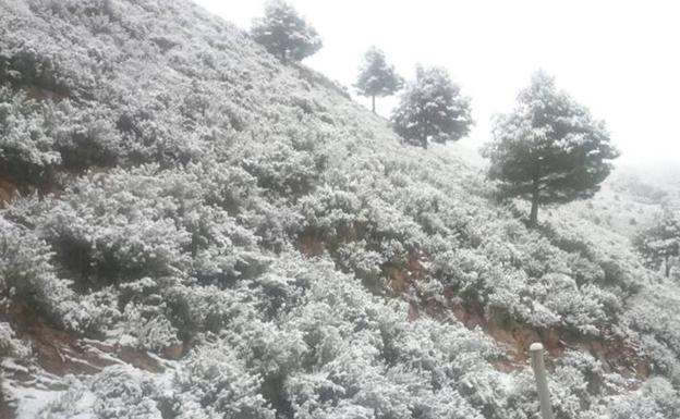 Los meteorólogos avisan: más nevadas y frío en España este fin de semana