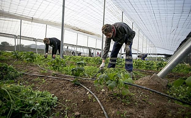 En Motril lleva tiempo desarrollándose la misma actividad