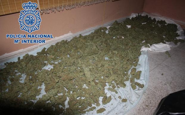 Tres detenidos por tener 33 kilos de cogollos de marihuana en una vivienda de Cenes de la Vega
