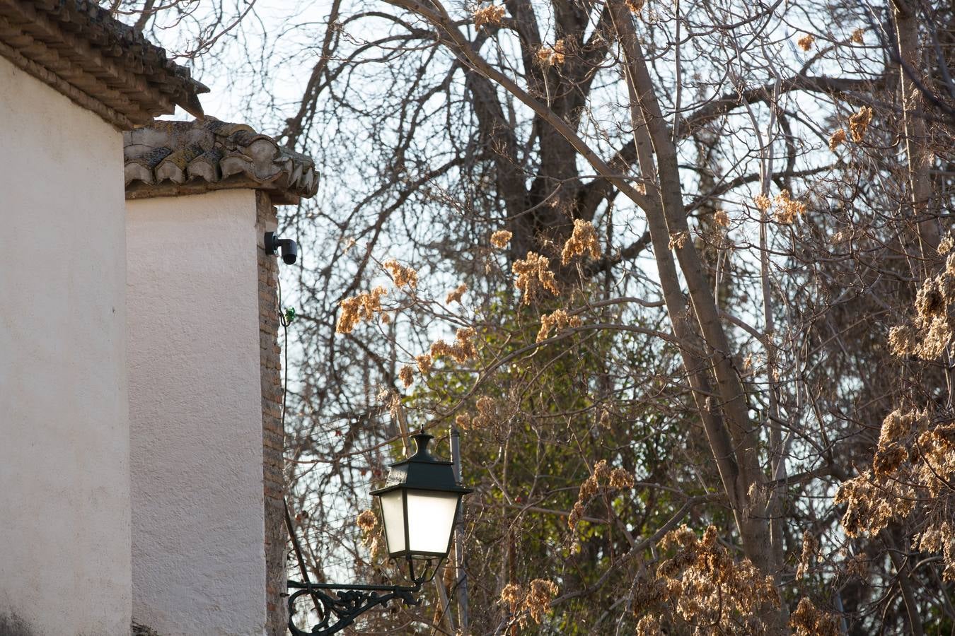 Se encuentran en pruebas y cubren las dos entradas del Arco de las Pesas, las fachadas del Aljibe del Rey y todo el perímetro del palacio de Dar Al Horra