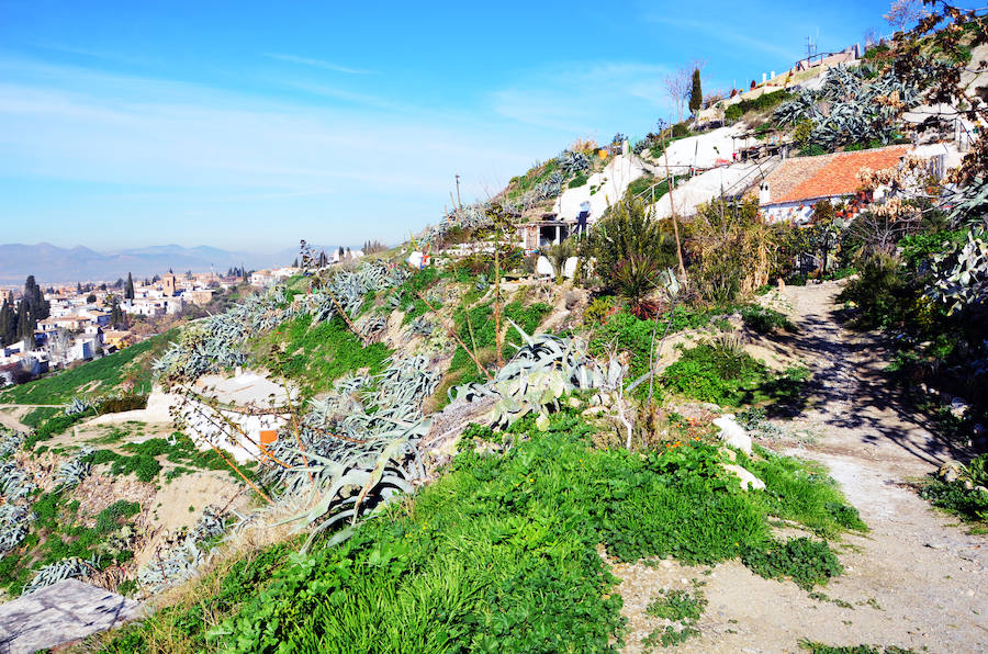 Los habitantes del cerro de San Miguel, con y sin documentación en regla de sus cuevas defienden la particularidad de la zona