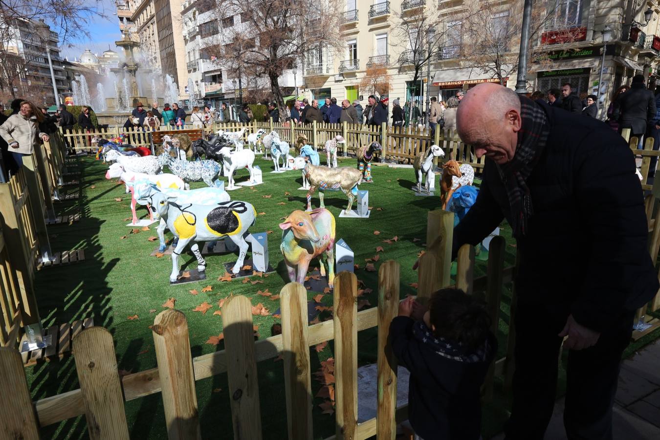 Exposición de más de 20 esculturas de fibra de vidrio en tamaño natural de corderos diseñadas por el escultor Miguel Moreno y decoradas por artistas, una muestra en Puerta Real