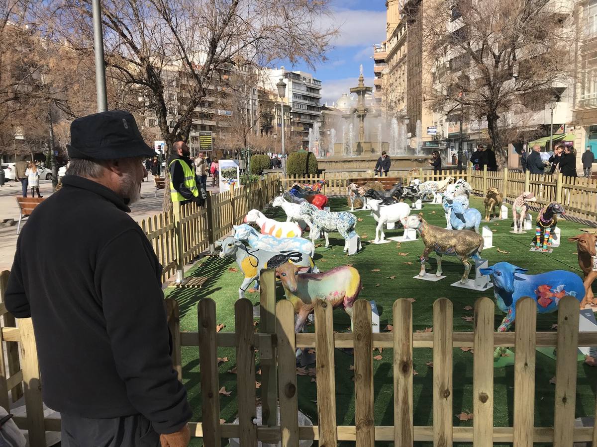 Exposición de más de 20 esculturas de fibra de vidrio en tamaño natural de corderos diseñadas por el escultor Miguel Moreno y decoradas por artistas, una muestra en Puerta Real