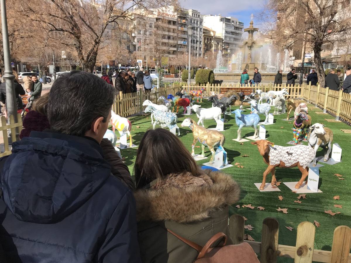 Exposición de más de 20 esculturas de fibra de vidrio en tamaño natural de corderos diseñadas por el escultor Miguel Moreno y decoradas por artistas, una muestra en Puerta Real