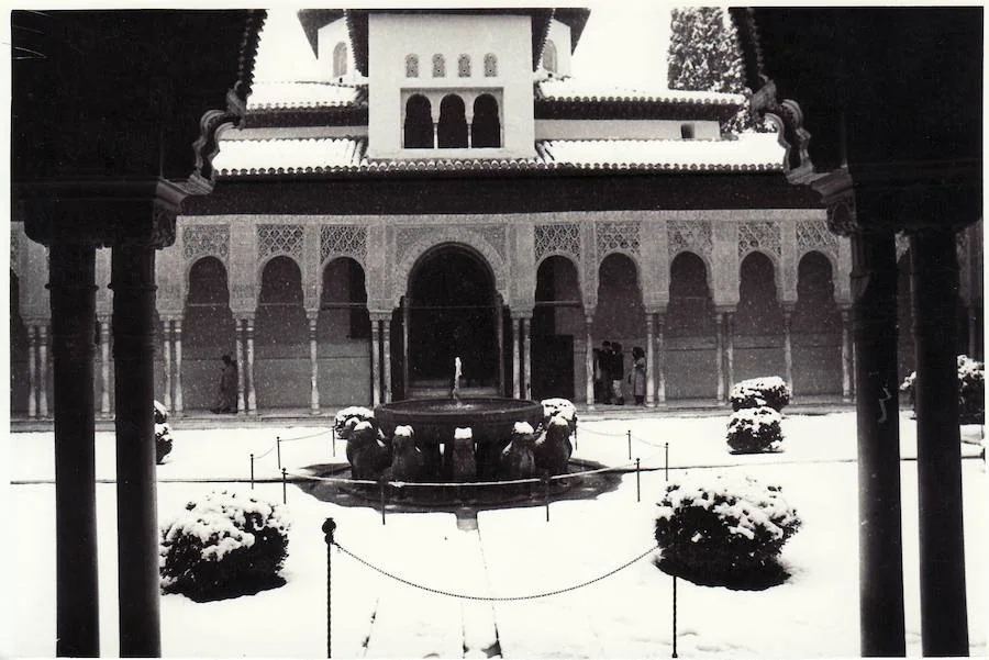 Bonita imagen del Patio de los Leones. González Molero/Archivo de Ideal