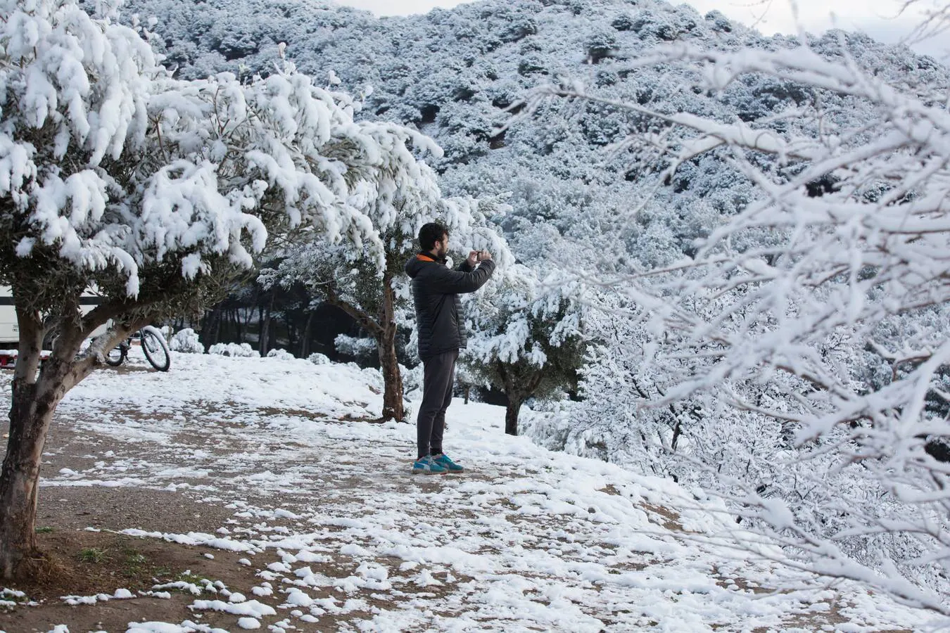 El lunes 5 de febrero de 2018 Granada se despierta bajo un manto blanco