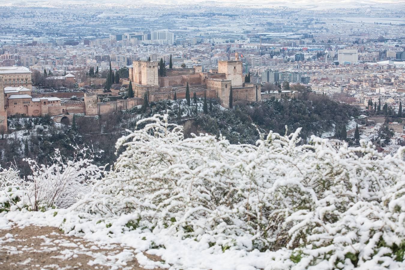 El lunes 5 de febrero de 2018 Granada se despierta bajo un manto blanco