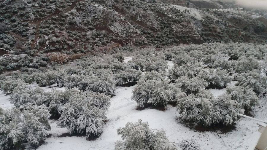 Nieve en Jaén